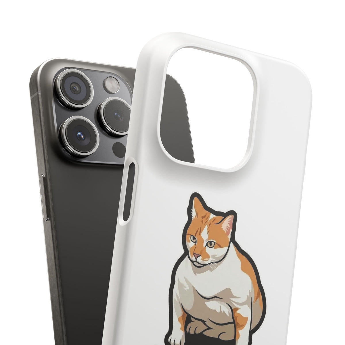 Snap Cases