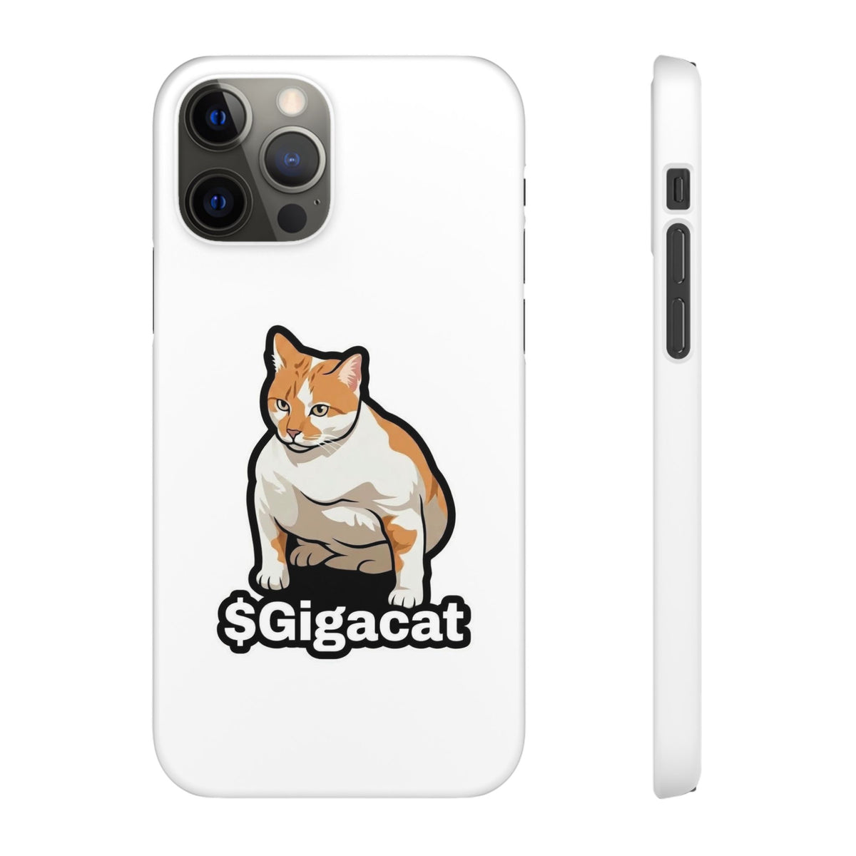 Snap Cases