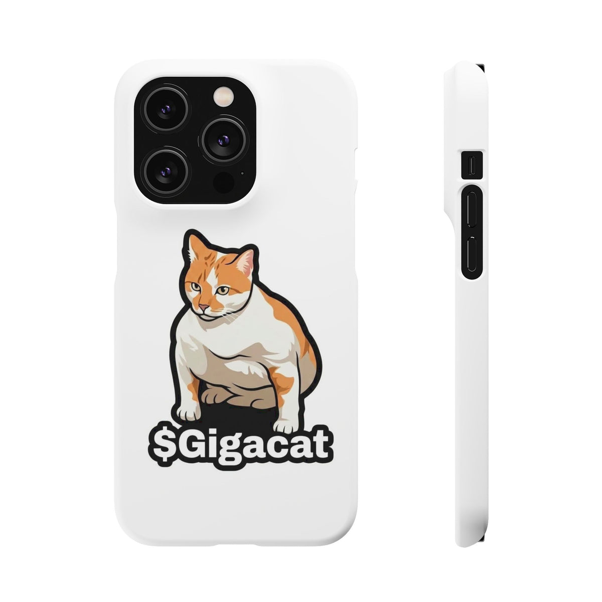 Snap Cases