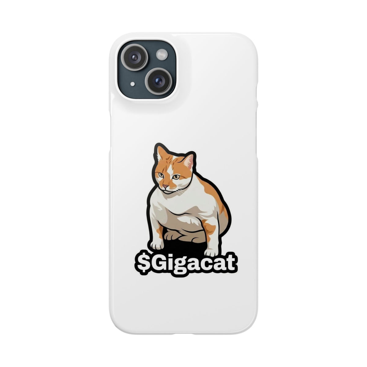 Snap Cases