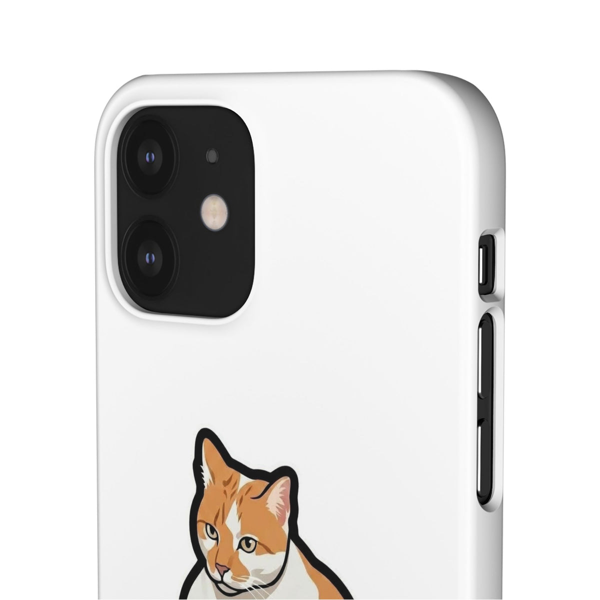 Snap Cases
