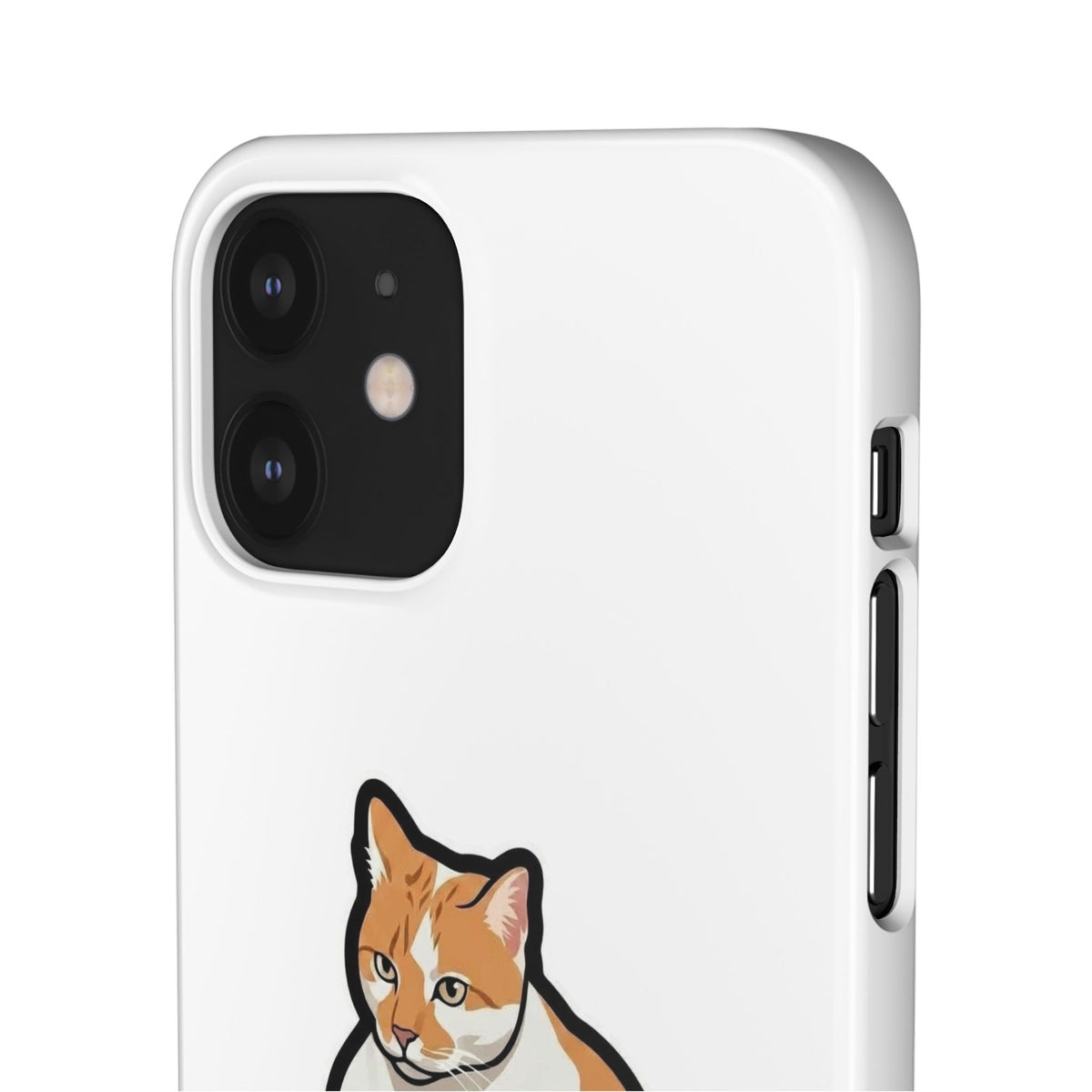 Snap Cases