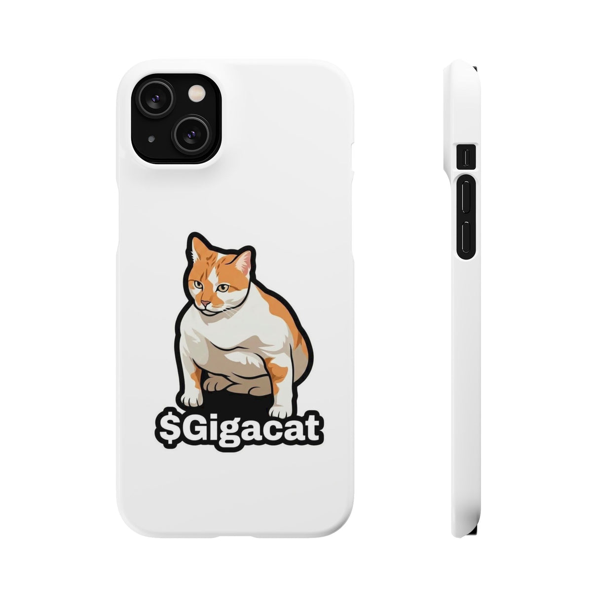 Snap Cases