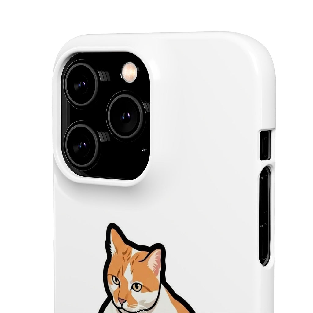 Snap Cases