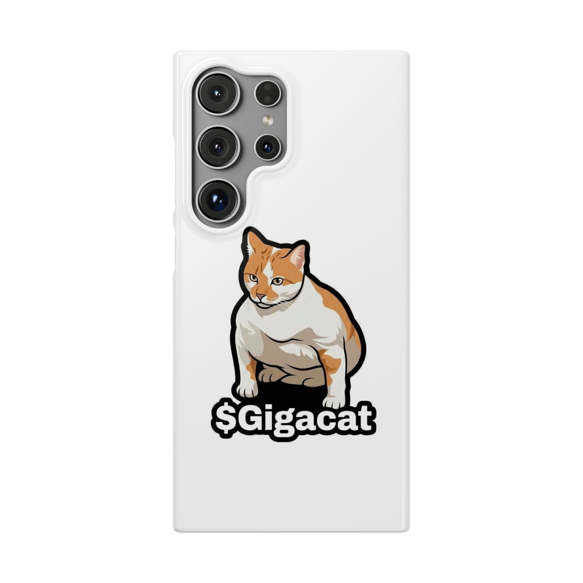 Snap Cases