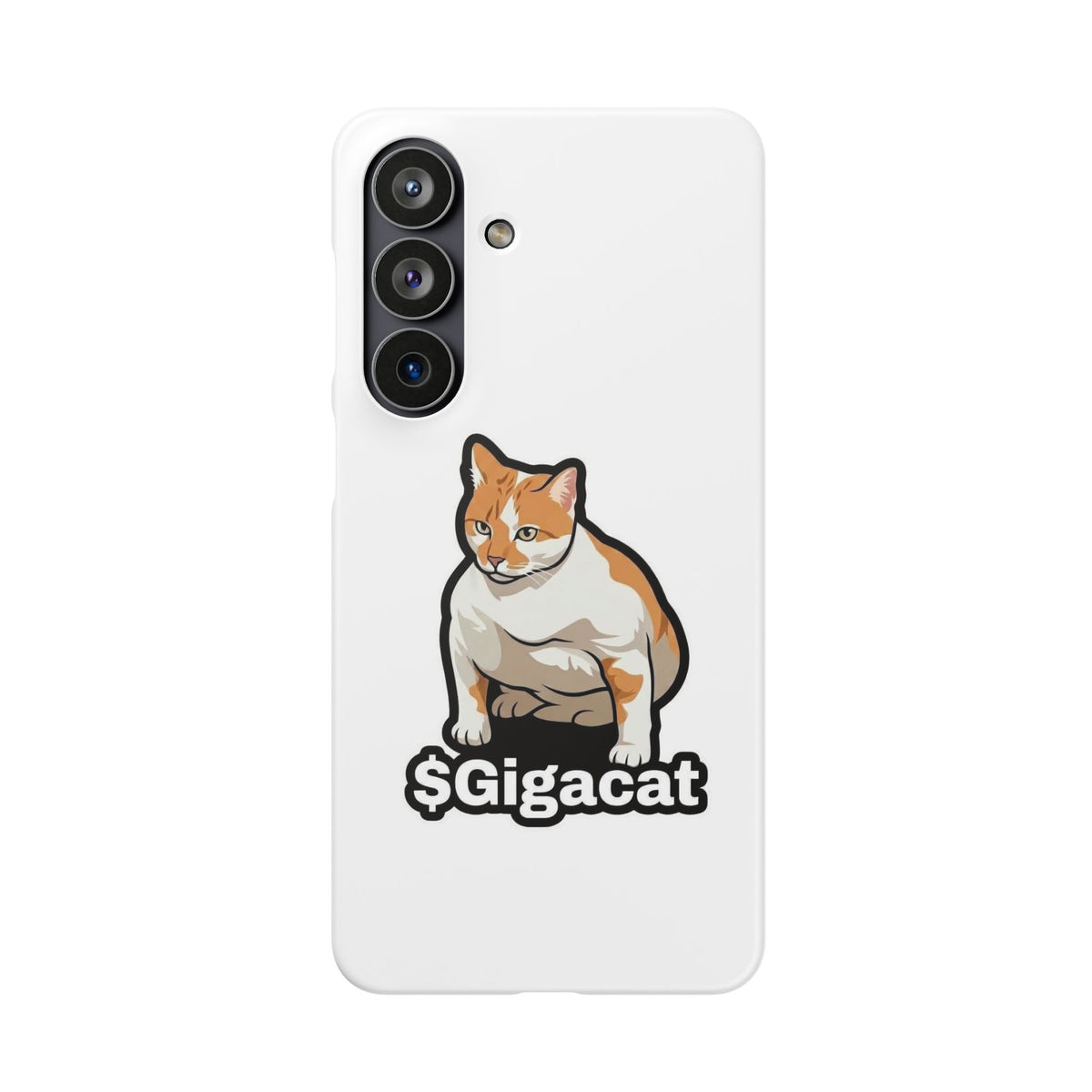 Snap Cases