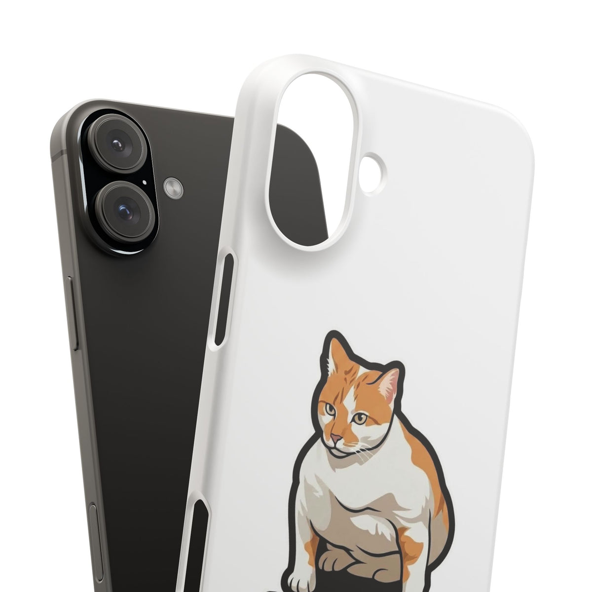 Snap Cases