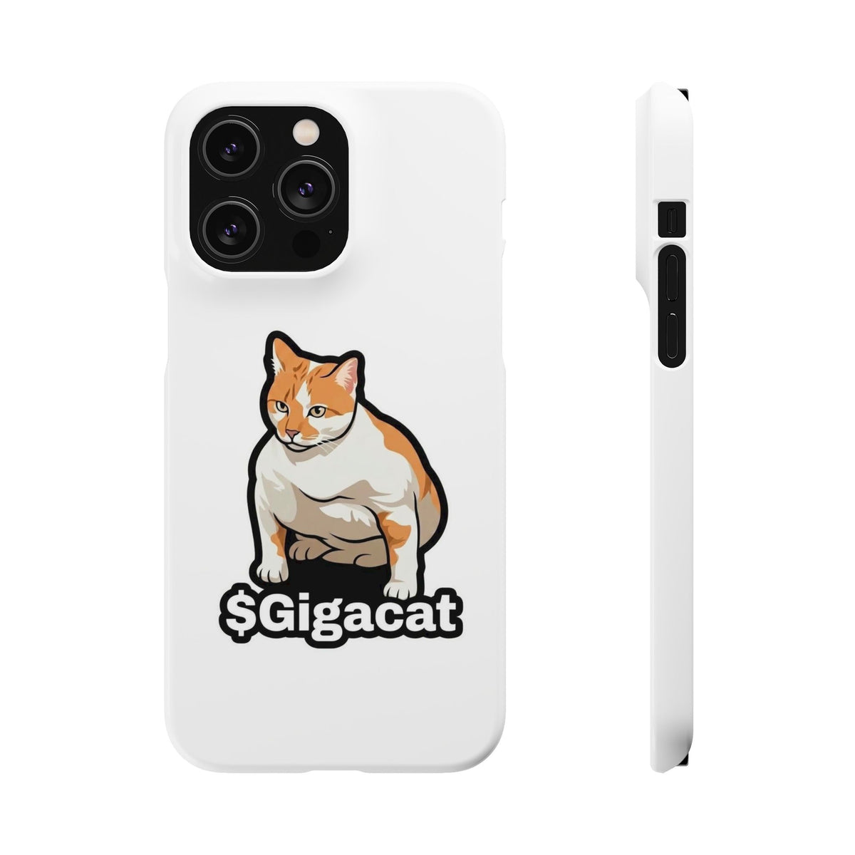 Snap Cases