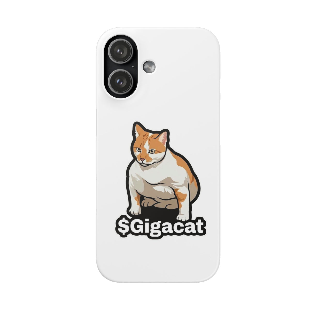 Snap Cases