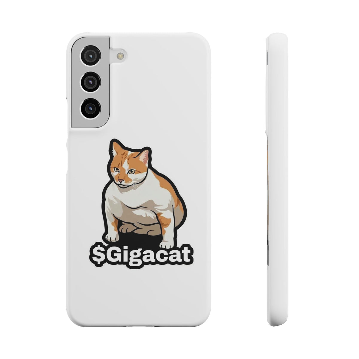 Snap Cases