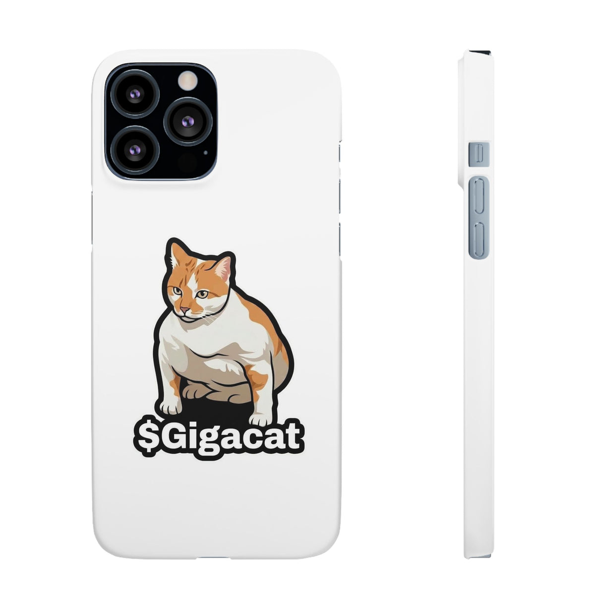 Snap Cases