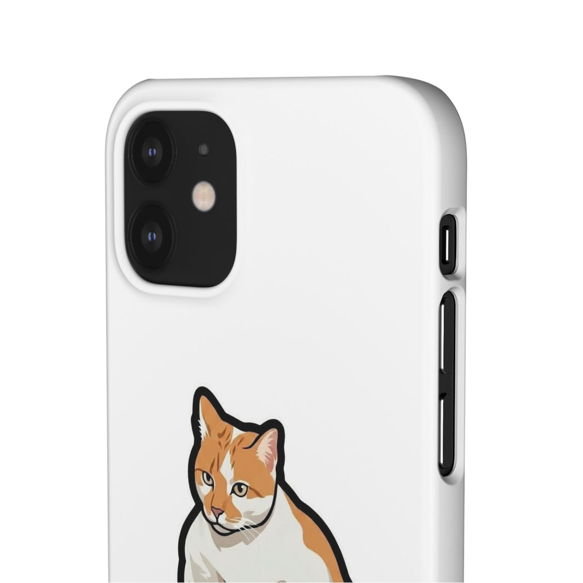 Snap Cases