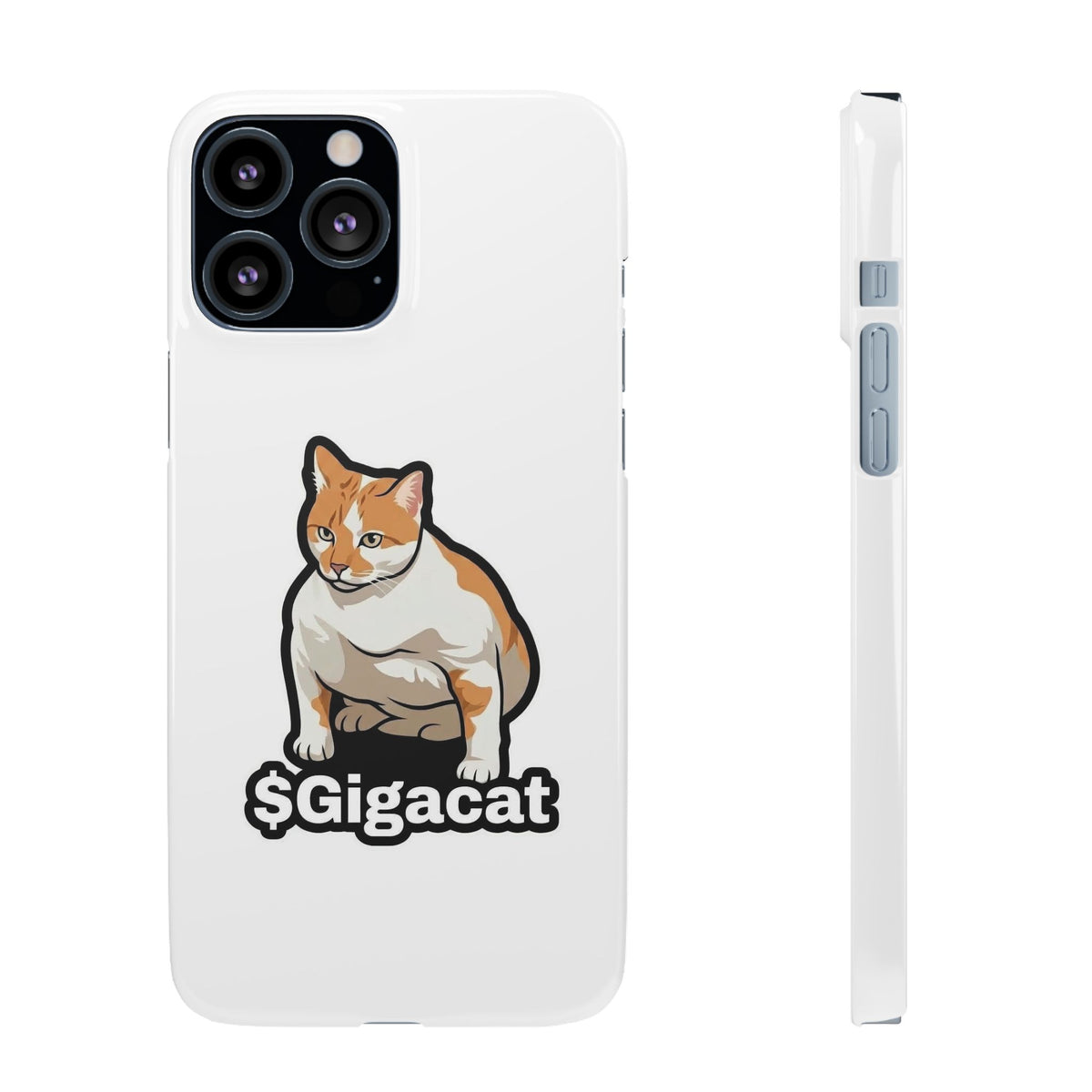 Snap Cases