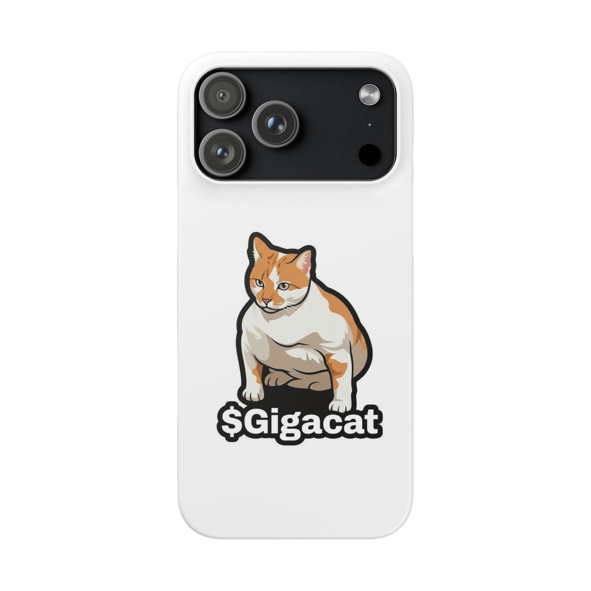 Snap Cases