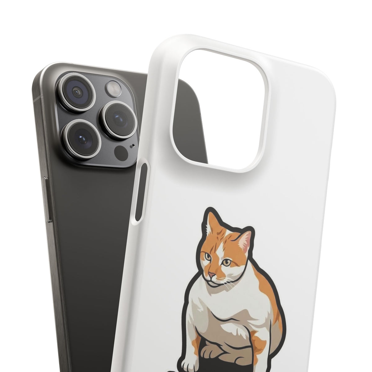 Snap Cases