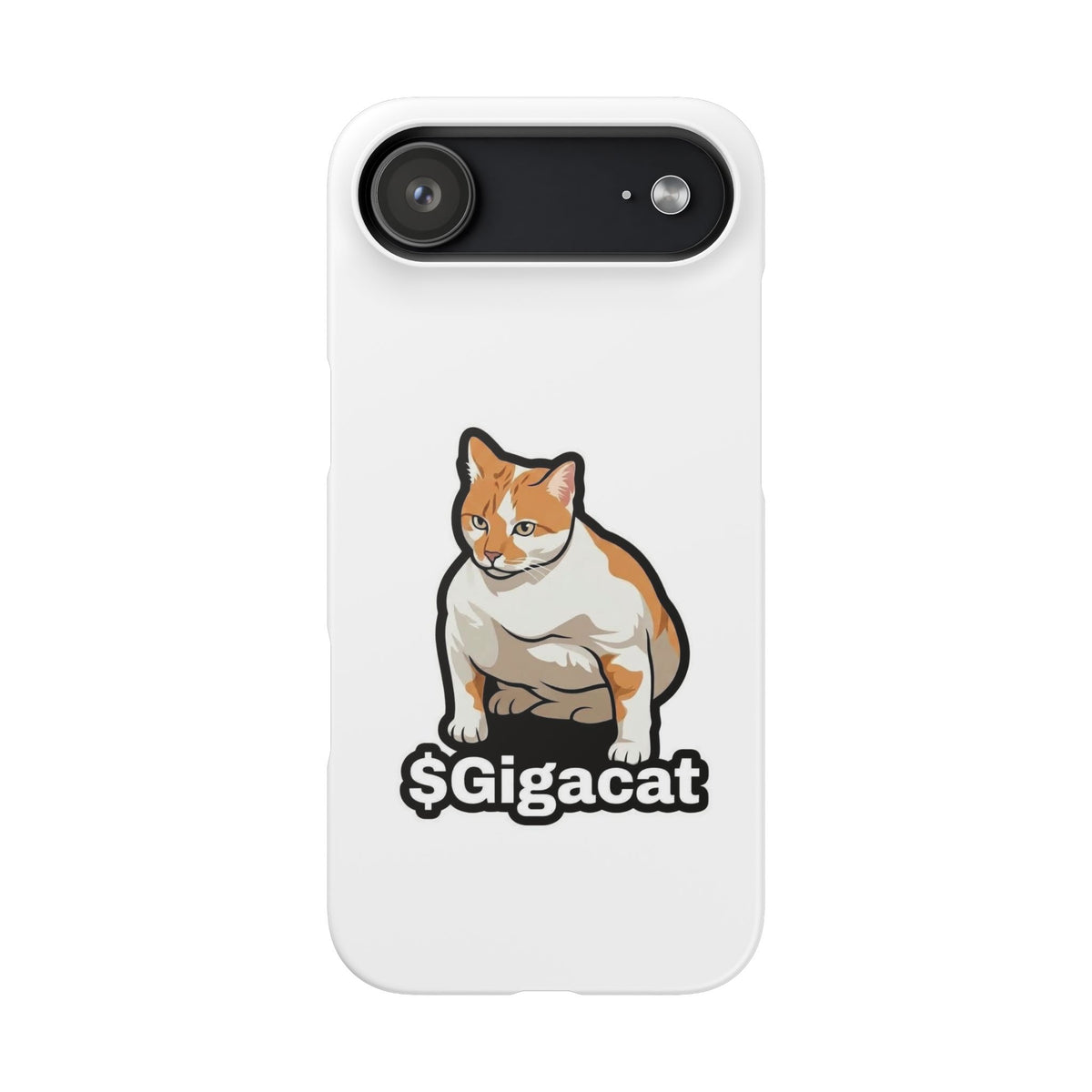 Snap Cases