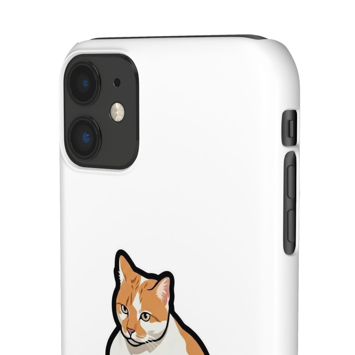 Snap Cases