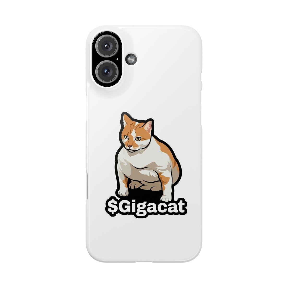 Snap Cases