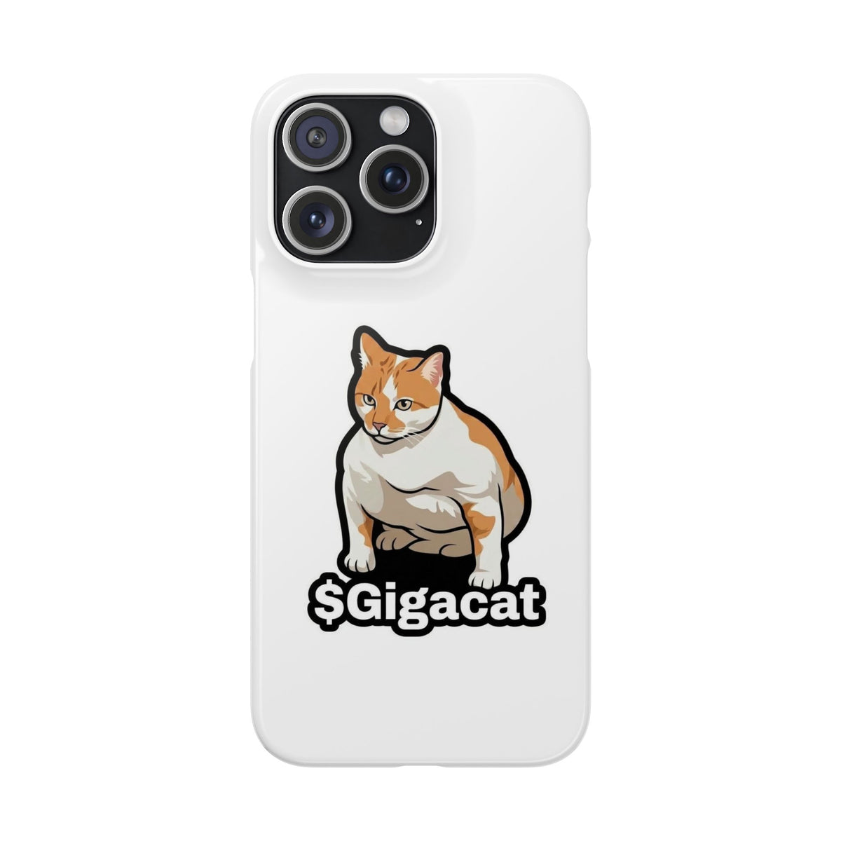 Snap Cases